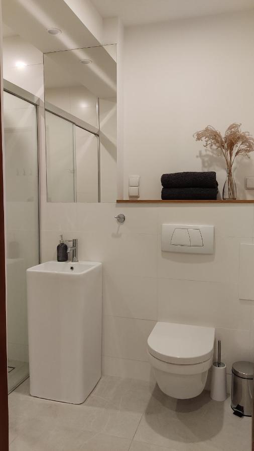 Apartamenty Ceglane Torun Exterior foto
